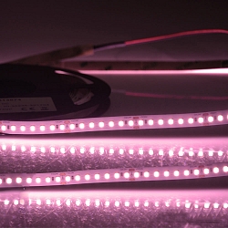 LED Strip CRI FOOD FLEX MEAT 2-pole white