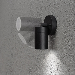 Udendørs wall luminaire MODENA svingbar GU10 IP44, sort, gennemsigtig
