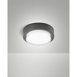 Udend�rs loftlampe OWEN IP65, m�rkegr�
