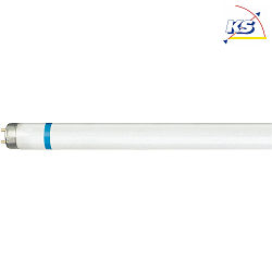fluorescent tube MASTER SECURA TLD T8 G13 [Medium Bi-Pin Fluorescent] 4000K CRI 80-89 dimmable