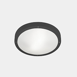 V�g- og Loftlampe BASIC LED IP66