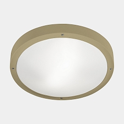 V�g- og Loftlampe BASIC LED IP66
