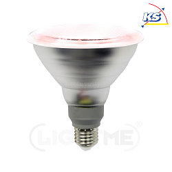 LED planting lamp, reflector PAR38, E27, 12W PT-Special 50