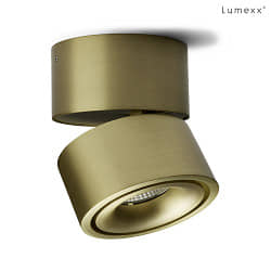 spot EASY W100 LED IP20, bronze dimmable