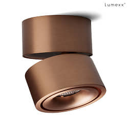 spot EASY W100 LED IP20, rose gold dimmable