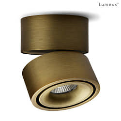 spot EASY W100 LED IP20, brushed bronze dimmable