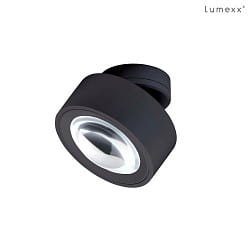 spot EASY W120 LENS LED DTW Dim-To-Warm IP20, black dimmable