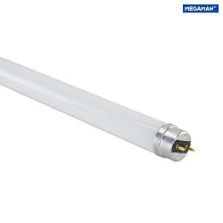 LED T8-tube lamp, 150cm, G13, 24W 4000K 3600lm 330, without starter bridge