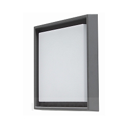 V�g- og Loftlampe QUADRO L stor IP54, antracit 