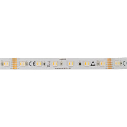 LED Strip 5050 RGB+WW/CW SMD - 5M / 12MM RGBW hvid