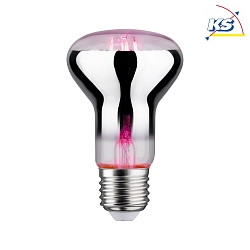 LED Growth light Filament Lamp / Grow Green Reflector R63, 230V, E27, 6.5W 1300K 200lm 106