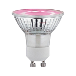 LED reflektorp�re PLANT GU10 3,5W 95lm 1100K 110� 