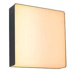 Udendørs wall luminaire AZALENA med sensor, ZigBee styrbar, insektvenlig IP44, antracit, gennemsigtig dæmpbar
