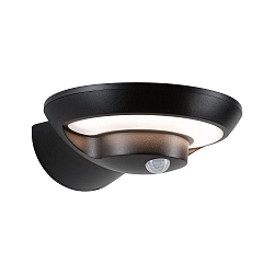 solar wall luminaire BOROLA PIR with sensor IP44, anthracite, transparent 