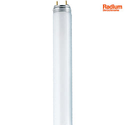 fluorescent tube SPECTRALUX PLUS T8 switchable, ring shape T8 matt G13 18,8W 1250lm 6500K 360 CRI 80-89 