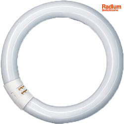 fluorescent tube SPECTRALUX PLUS RING T9 840C ring shape matt G10q 22W 1230lm 4000K 360 CRI 80-89 dimmable