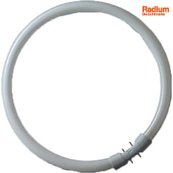 fluorescent tube BONALUX RING T5 840C ring shape T5 matt 2GX13 22W 1900lm 4000K 360 CRI 80-89 dimmable