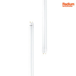 LED tube T8 DC-TUBE LED T8 NEO 18 840/G13 DALI controllable, current constant, with splinter protection matt G13 6