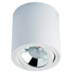 overflade lampe MELIMAR COB rund, svingbar IP20, gennemsigtig, hvid, lakeret
