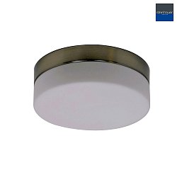 Steinhauer Wall and ceiling luminaire CEILING AND WALL Bathroom luminaire, 1 flame, glass 18 cm, silver