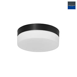 outdoor ceiling luminaire IKARO small, round, cylindrical IP44, black matt dimmable