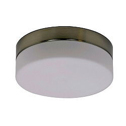 Steinhauer V�g- og Loftlampe CEILING AND WALL Lampe til bad, 1-flamme, glas 24 cm, s�lv