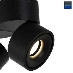 ceiling luminaire FEZ 2 flames, oval, swivelling, rotatable, set back IP20, black matt dimmable