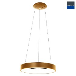 pendant luminaire RINGLEDE -  48CM large, round, direct / indirect IP20, gold dimmable