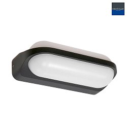 Steinhauer Outdoor wall luminaire, LED, 1 flame, 7W, 2700K, IP65, black