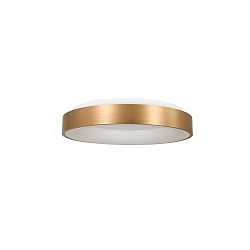 Loftlampe RINGLEDE - � 30CM lille, rund, direkte / indirekte IP20, guld mat d�mpbar