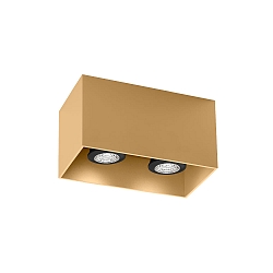 Spot BOX CEILING SURF 2.0 PAR16 GU10 IP20, champagne 