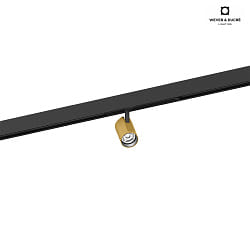 LED Track spot CENO ON TRACK 1.0 for STREX SYSTEM 48V, 2700K, DALI dimmable, black gold