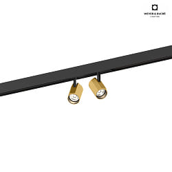 LED Track spot CENO ON TRACK 2.0 for STREX SYSTEM 48V, 2700K, DALI dimmable, black gold