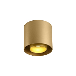 ceiling luminaire RAY CEILING SURF 1.0 1 flame, DALI controllable IP20, champagner dimmable