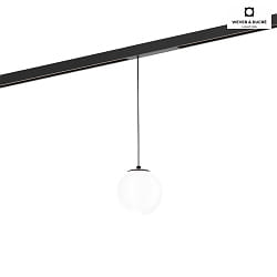 LED Pendant luminaire SOLLI ON TRACK for STREX SYSTEM 48V, 5W 2700K, CRi >90, DALI dimmable, glass, opal