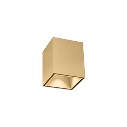 Downlight BOX MINI 1.0 firkantet, overflademonteret version IP20, champagne d�mpbar