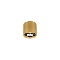 Spot RAY MINI CEILING SURF 1.0 PAR16 GU10 IP20, guld 