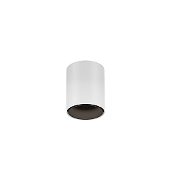 downlight RAY MINI 1.0 down, cylindrical, surface-mounted version IP20, white matt dimmable
