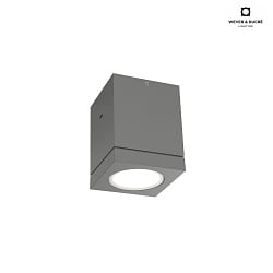 Outdoor LED Ceiling luminaire TUBE 1.0, IP65, 8W 3000K 38, CRi >90, dimmable, dark grey