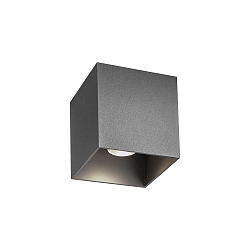 Udend�rs loftlampe BOX OUTDOOR CEILING SURF 1.0 IP65, gr� d�mpbar