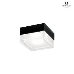 Outdoor LED Wall /Ceiling luminaire BLAS 2.0, IP65, square, dimmable, black