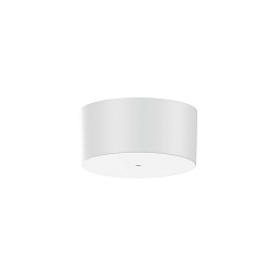 Loftsroset 1-fold, hvid