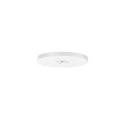 Loftsroset 1-fold, hvid