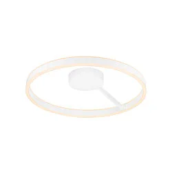 Væg- og Loftlampe ONE DALI Ø60CM up / down, DALI styrbar, CCT Switch, ringform IP20, hvid dæmpbar