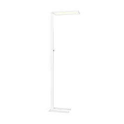 Standerlampe WORKLIGHT EASY FL med afbryder, egnet til VDU-arbejdsstationer, hvid dæmpbar