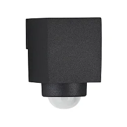 motion detector, matt, black
