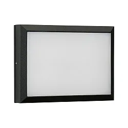 Udendørs LED Væg- og Loftlampe Type nr. 6403, IP54 IK08, 26 x 19cm, 16W 3000K 1600lm, dæmpbar, sort matt