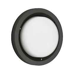 Udendørs wall luminaire TYPE NO 6421 IP54, opal, sort dæmpbar