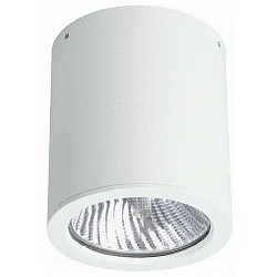 Udendørs Loftlampe Type nr. 2130, IP44, Ø 11cm / H 12.5cm, E27 PAR30 maks. 75W, stiv, hvid