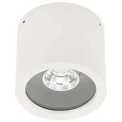 LED Outdoor Ceiling spot Type No. 2319, IP44, Ø 11cm, 8W 3000K 800lm 30°, swiveling 30°, white matt